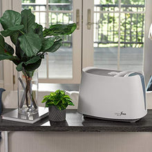 Load image into Gallery viewer, Honeywell HCM350W Germ Free Cool Mist Humidifier White