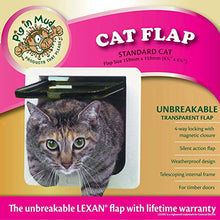 Load image into Gallery viewer, Ideal Pet Products Cat Flap Door with 4 Way Lock, 6.25" x 6.25" Flap Size