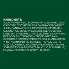 Load image into Gallery viewer, Garnier Fructis Pure Clean Shampoo, Paraben-Free Silicone-Free with Aloe Extract and Vitamin E, 12.5 Fl Oz Bottle