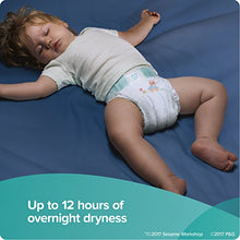 Load image into Gallery viewer, Diapers Size 6, 144 Count - Pampers Baby Dry Disposable Baby Diapers, ONE MONTH SUPPLY