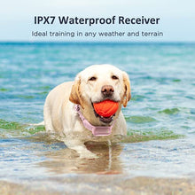 Load image into Gallery viewer, PATPET Dog Training Collar with 3 Safe Training Modes, Rechargeable IPX7 Waterproof Shock Collar with Remote, 3000 Ft Control Perfect for Small Medium Large Dogs(8-120 lbs)