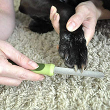 Load image into Gallery viewer, Coastal Pet Products DCPW6112 Stainless Steel Safari Diamond Dog Nail File