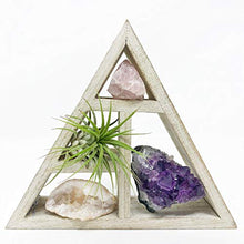 Load image into Gallery viewer, people crystals Mini Crystal + Air Plant Gift Set/Includes a 4.75” Mini Display Shelf, Tillandsia Air Plant, Purple Amethyst Cluster, Raw Rose Quartz, and Clear Quartz Point, Home décor Accent.
