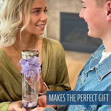 Load image into Gallery viewer, Phoenix Crystal Water bottle, a Loose Leaf Tea Infuser Bottle, double wall glass for hot and cold drinks. Natural Large Rose Quartz Crystal and Amethyst Stone. Eco-friendly & relaxing gifts for women