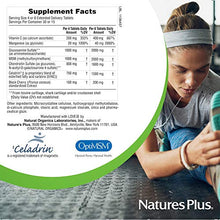Load image into Gallery viewer, NaturesPlus Advanced Therapeutics Triple Strength Ultra Rx-Joint, Extended Delivery - 120 Tablets - Glucosamine/Chondroitin/MSM - High Potency Joint Support - Gluten-Free - 30 Servings