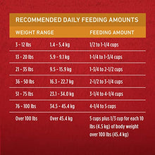 Load image into Gallery viewer, Purina ONE Natural Dry Dog Food, SmartBlend Chicken & Rice Formula - 40 lb. Bag