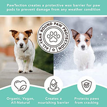 Load image into Gallery viewer, Natural Dog Company PawTection Bundle, Includes 2oz Stick + 0.15oz Stick, Protects Dog Paws from Heat, Salt, Snow, Prevents Paw Damage, Organic, All Natural Ingredients
