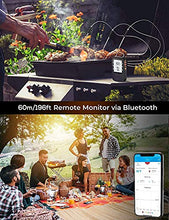 Load image into Gallery viewer, Govee Outdoor Ground Lights Bundle with Govee 169ft Bluetooth Meat Thermometer for Outdoor