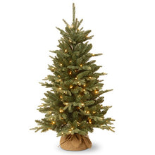 Load image into Gallery viewer, National Tree Company Pre-lit Artificial Mini Christmas Tree | Includes Small Lights and Cloth Bag Base | Great For Tabletop or Desk | Burlap - 4 ft