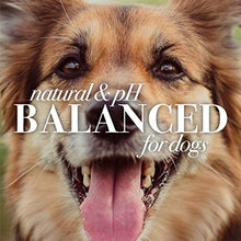 Load image into Gallery viewer, Burt's Bees for Dogs Natural Itch Soothing Spray with Honeysuckle | Best Anti-Itch Spray for Dogs With Itchy Skin | Cruelty Free, Sulfate & Paraben Free, pH Balanced for Dogs - Made in the USA, 10 Oz