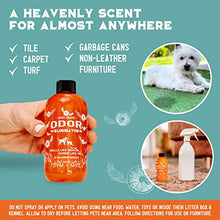 Load image into Gallery viewer, ANGRY ORANGE Pet Odor Eliminator for Home - 8oz Dog & Cat Urine Smell Remover - Citrus Concentrate - Makes a Gallon (128 oz)