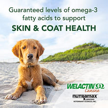 Load image into Gallery viewer, Nutramax Welactin Omega-3 Fish Oil Skin and Coat Health Supplement Liquid for Dogs, 120 Softgels