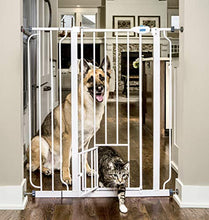 Load image into Gallery viewer, Carlson Extra Tall Walk Through Pet Gate with Small Pet Door, Includes 4-Inch Extension Kit, 4 Pack Pressure Mount Kit and 4 Pack Wall Mount Kit