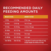 Load image into Gallery viewer, Purina ONE Natural Dry Dog Food, SmartBlend Chicken & Rice Formula - 40 lb. Bag