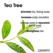 Load image into Gallery viewer, GIOVANNI Tea Tree Triple Treat Invigorating Shampoo Cooling Peppermint, Conditioning Rosemary, Clarifying Eucalyptus, Alleviate Dry Flaky Scalp, Sulfate Free, No Parabens, 8.5 Fl Oz (Pack of 3)