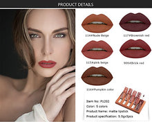 Load image into Gallery viewer, 5 Colors Matte Lipstick Set, Long Lasting Velvet Lips Tint Liquid Lipstick Waterproof Lipstick Makeup 5pcs/kit