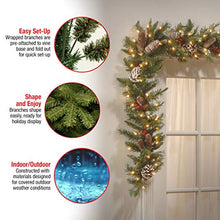 Load image into Gallery viewer, National Tree Frosted Berry Garland, 9 Feet x 10 Inch