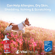 Load image into Gallery viewer, Salmon Oil for Dogs & Cats, Fish Oil Omega 3 EPA DHA Liquid Food Supplement for Pets, All Natural, Supports Healthy Skin & Coat, Joint & Bone Health, Natural Allergy & Inflammation Defense, 32 oz
