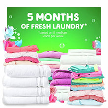 Load image into Gallery viewer, Gain Flings 3-in-1 Liquid Laundry Detergent Pacs, Spring Daydream Scent, 3 Bag Value Pack, 111 Count, HE Compatible