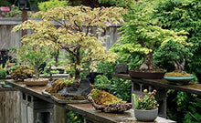 Load image into Gallery viewer, Private Gardens of the Pacific Northwest