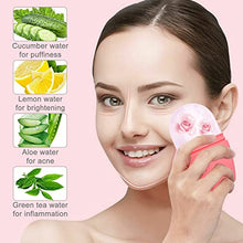 Load image into Gallery viewer, 2 Pcs Ice Roller for Face and Eye, Ice Face Roller Skin Care Gua Sha Tool, Silicone Ice Mold for Face,Facial Ice Roller Skin Care Tool for Face & Eye Puffiness Relief & Remove Fine Lines,Gifts for Her
