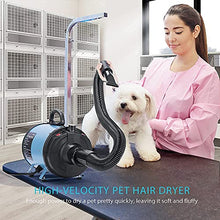 Load image into Gallery viewer, DEStar 45 x 24 Inch Collapsible Pet Grooming Table with 2800W/3.8HP High Velocity Pet Grooming Blower Combo Set