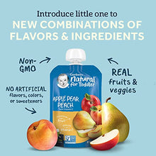 Load image into Gallery viewer, Gerber Assorted Fruit Toddler Pouch Variety Pack (Pack of 18)