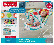 Load image into Gallery viewer, Fisher-Price Fun 'n Fold Bouncer