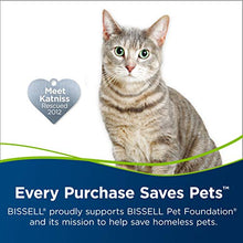 Load image into Gallery viewer, Bissell Professional Pet Urine Eliminator + Oxy Carpet Cleaning Formula, 48 oz, 1990, 48 Ounce