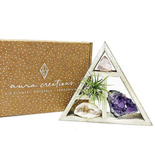 Load image into Gallery viewer, Tillandsia Air Plant and Purple Amethyst Crystal Healing Cluster/Terrarium Fairy Garden Stone + Kraft Gift Box