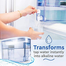 Load image into Gallery viewer, Opti CHILL Alkaline Water Refrigerator Filter Unit + 3 Extra OEM Opti Chill 120 Gallon Replacement Filter