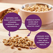 Load image into Gallery viewer, Nature’s Recipe Healthy Skin Vegetarian Recipe Dry Dog Food, 24 Pound Bag