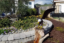 Load image into Gallery viewer, Bald Eagle Statue Outdoor Garden Sculpture Metal Yard Art Lawn Decoration