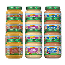 Load image into Gallery viewer, Earth's Best Organic Stage 2 Baby Food, Fruit Combo Jars Variety Pack, 4 Oz Jar (Pack of 12)