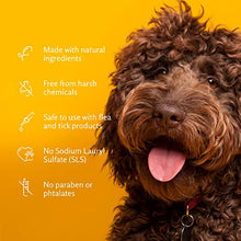 Load image into Gallery viewer, Arm & Hammer Super Deodorizing Shampoo For Dogs - Odor Eliminating Dog Shampoo For Smelly Dogs & Puppies With Arm & Hammer Baking Soda -- Kiwi Blossom Scent, 20 Fl Oz