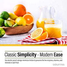 Load image into Gallery viewer, Gourmia EPJ100 Electric Citrus Juicer Stainless Steel 10 QT 160 Watts Rubber Handle And Cone Lid For Easy Use One-Size-Fits-All Juice Cone For Easy Storage. - 110V