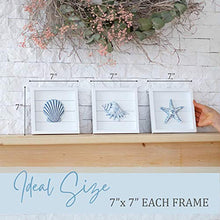 Load image into Gallery viewer, Seashell Wall Decor sets - Rustic Pastels and Coastal Blue