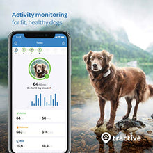 Load image into Gallery viewer, Tractive Waterproof GPS Dog Tracker - Location & Activity, Unlimited Range & Works with Any Collar (Beige - Newest Model)
