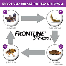 Load image into Gallery viewer, Frontline Plus Flea and Tick Treatment for Dogs (Large Dog, 45-88 Pounds, 3 Doses)