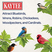 Load image into Gallery viewer, Kaytee Wild Bird Gourmet Seed Cake For Cardinals, Chickadees, Juncos, Titmice, Woodpeckers and More, 2 Pounds