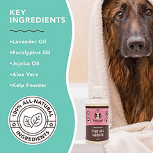 Load image into Gallery viewer, Natural Dog Company Itchy Dog Shampoo (12oz) | Natural and Hypoallergenic | Non-Toxic and Paraben-Free | Dog Shampoo for Itchy Skin Relief and Coat Health | Hydrates, Soothes and Heals Irritations