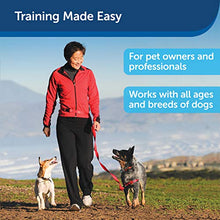 Load image into Gallery viewer, PetSafe Treat & Train Manners Minder Remote Reward Dog Trainer
