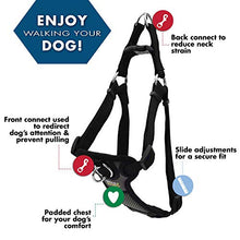 Load image into Gallery viewer, Coastal Pet Products Coastal Pet Walk Right! Front-Connect Padded Harness, Large, Black