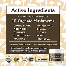 Load image into Gallery viewer, FERA PET ORGANICS Mushroom Blend for Dog and Cat Immune Support - USDA Organic Certified - for Cognitive Health, Vitality, and Immune Support, Made in The USA, 120 Servings, 60g