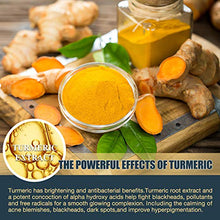 Load image into Gallery viewer, Meliza Turmeric Facial Mask, Turmeric Clay Facial Mask with Kaolin Clay, Detox Mud Mask for Skin Care, Turmeric Mud Mask for Acne, Dirt, Oil, Dark Spots and Refining Pores(5.29oz)