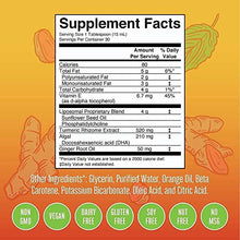 Load image into Gallery viewer, Liposomals Bundle by MaryRuth's | Megadose Vitamin C Liposomal 500mg, 7.6oz | DHA MCT Oil Almond Butter & Jelly Smoothie Liposomal, 16oz | Turmeric & Omega-3 DHA Liposomal, 16oz | Vegan, Non-GMO