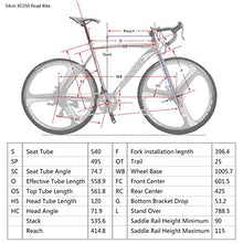 Load image into Gallery viewer, Road Bike TSM 550 21 Speed 54Cm Frame Dual Disc Brake Wheels Bicycle