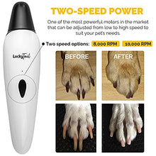 Load image into Gallery viewer, LuckyTail Dog Nail Grinder Trimmer β Professional Quiet 2-Speed Rechargeable Electric Pet Grooming & Smoothing Tool Kit β Painless Paw Clipper