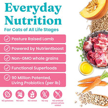 Load image into Gallery viewer, Solid Gold NutrientBoost Katz N Flocken - Dry Cat Food with Lamb, Rice & Pearled Barley - Digestive Probiotics for Cats - Gut Health & Immune Support - Grain Free - Superfood & Antioxidant Support