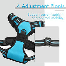 Load image into Gallery viewer, rabbitgoo Dog Harness, No-Pull Pet Harness with 2 Leash Clips, Adjustable Soft Padded Dog Vest, Reflective No-Choke Pet Oxford Vest with Easy Control Handle for Medium Dogs, Green, M